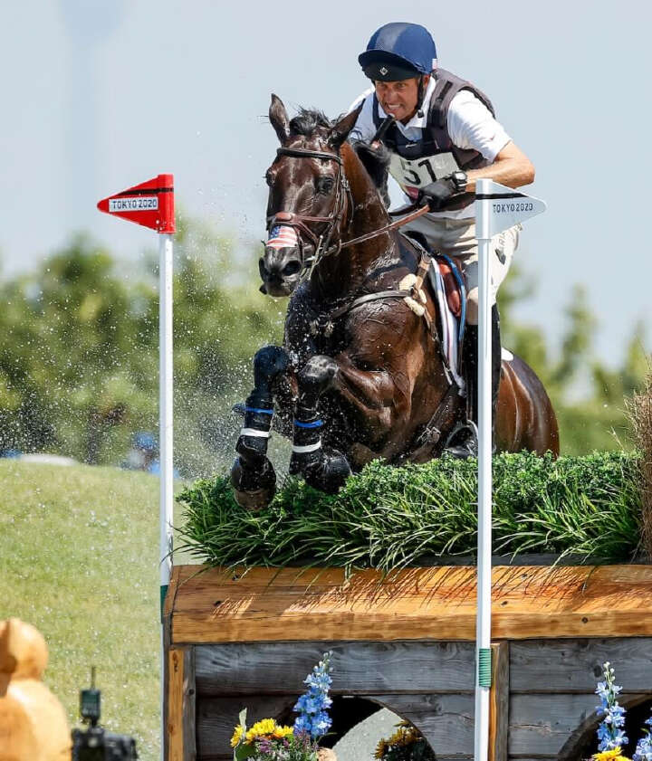 Derby Kat Community Team Trakehner Verband uebersichtsbild Derby Kat Community Team Trakehner Verband uebersichtsbild